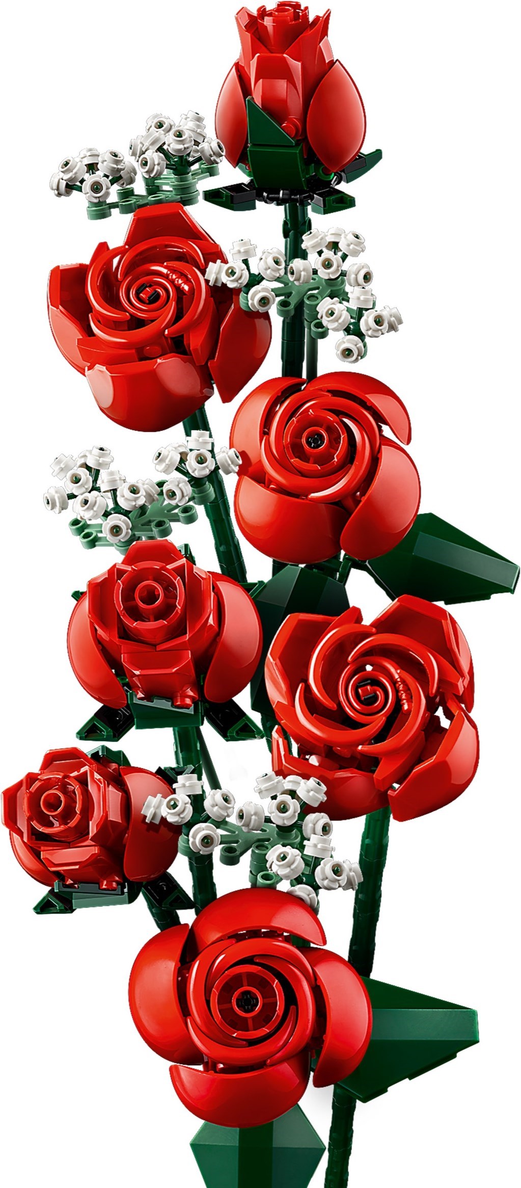 Complete rose arrangement display