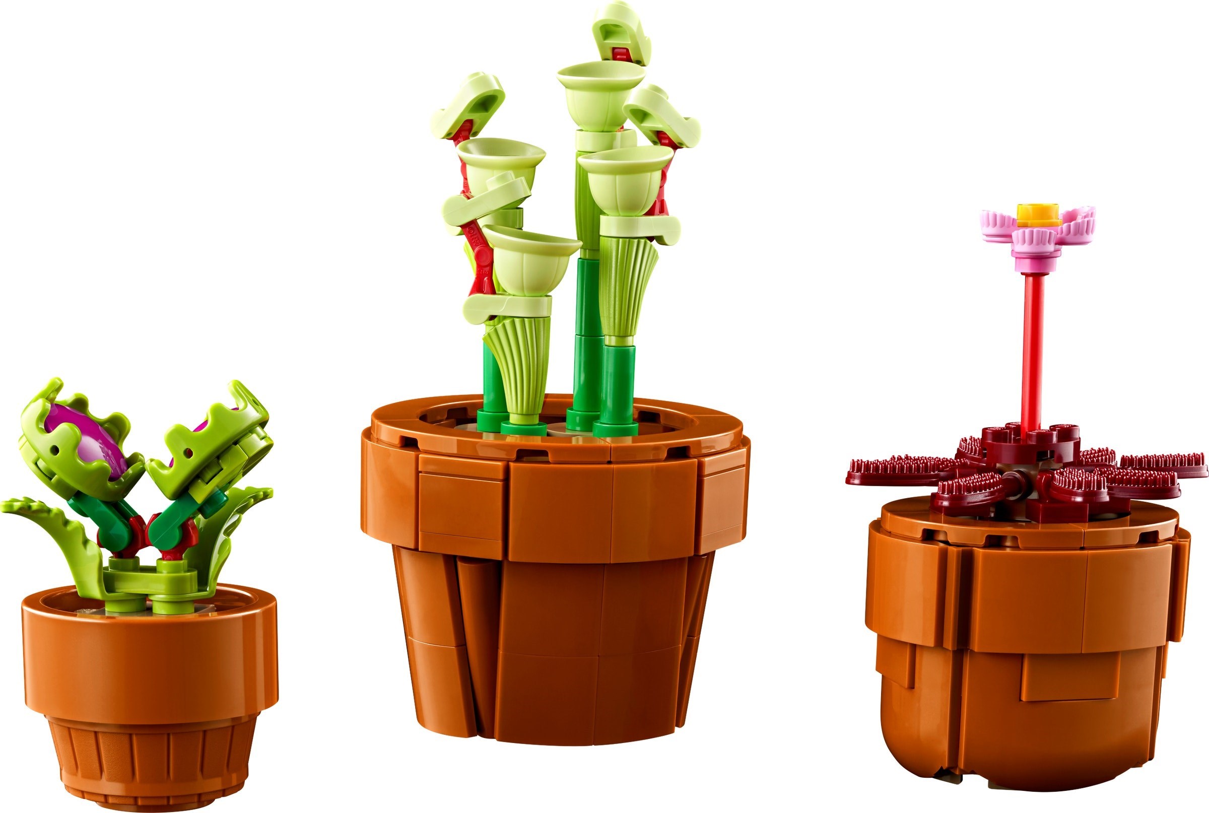 Three more plants showing building variety