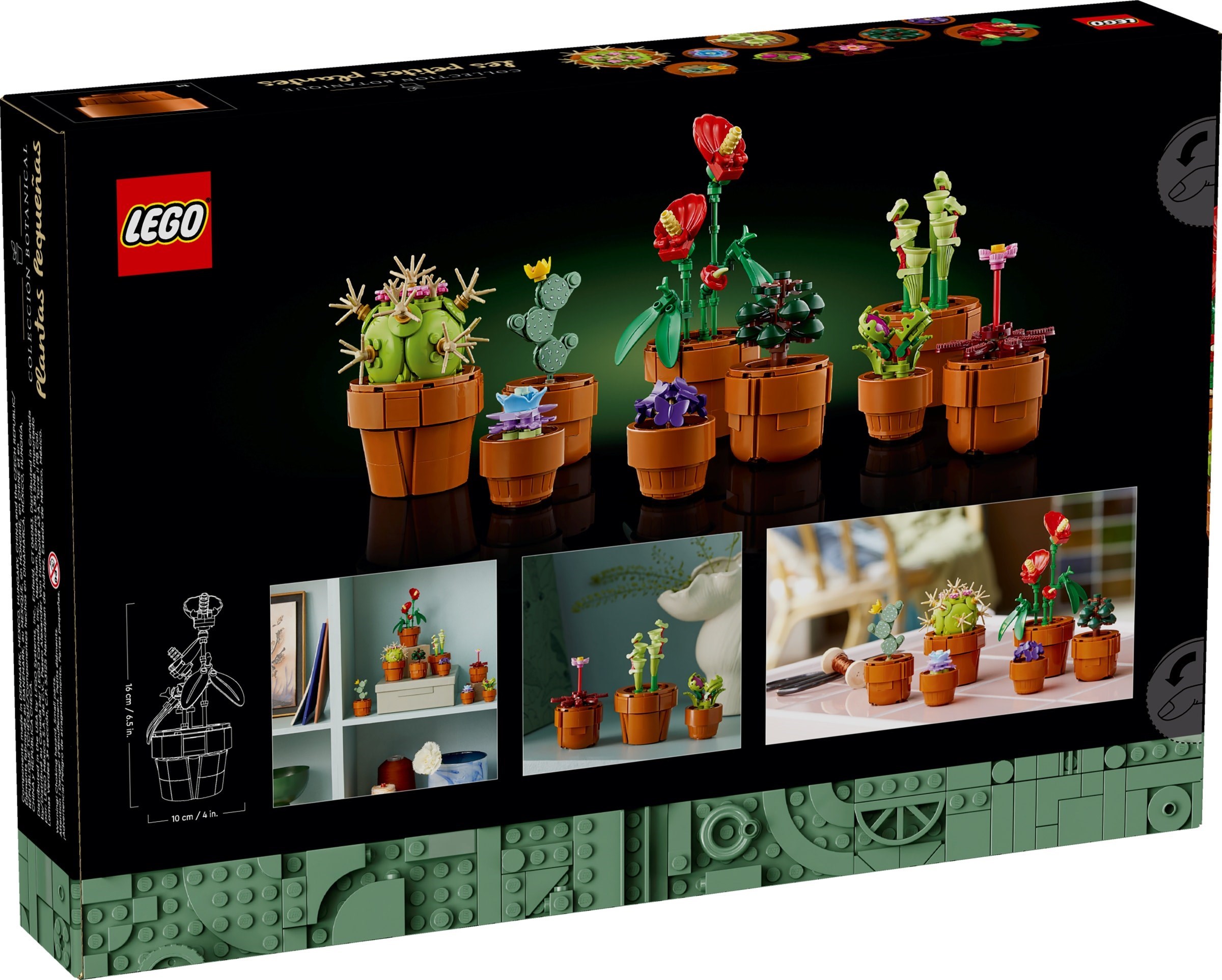 Box back showing display possibilities