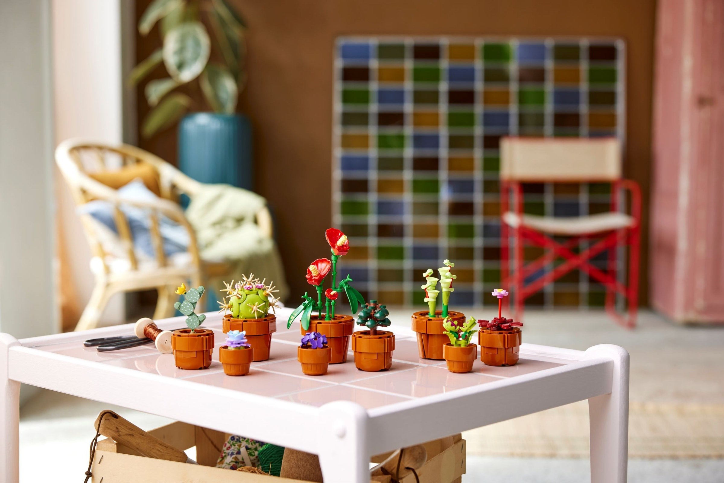 Tiny Plants displayed on coffee table