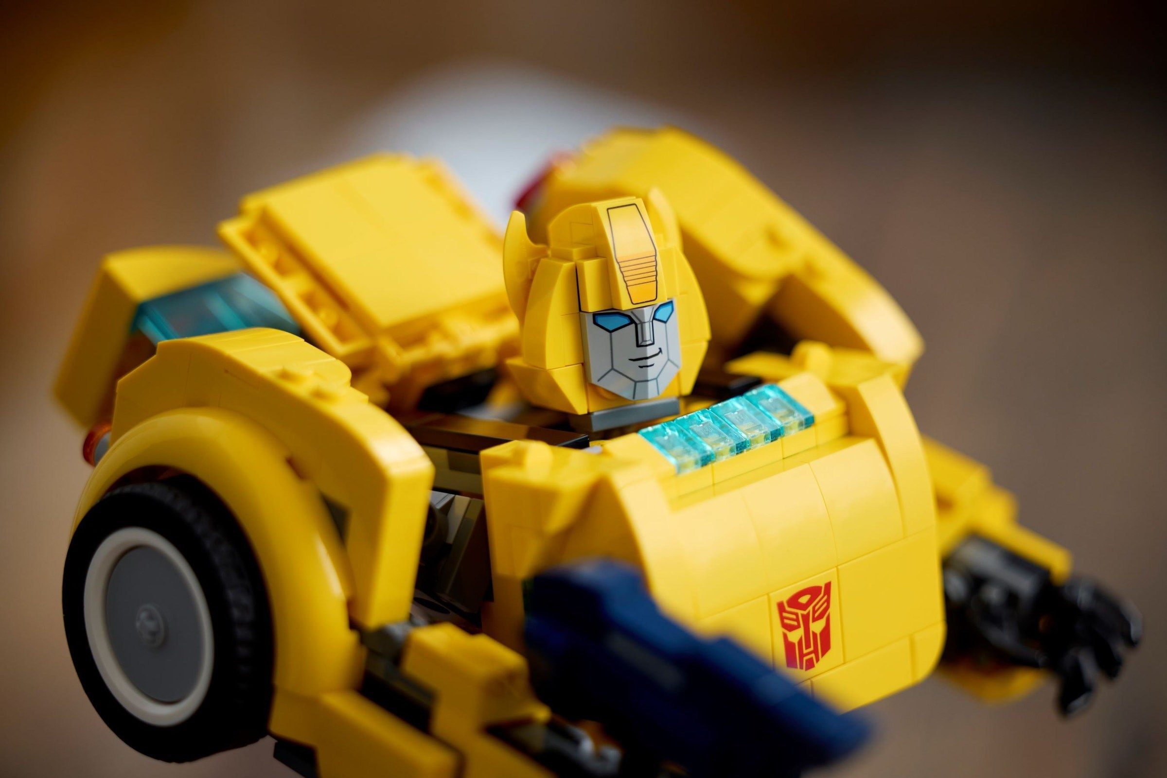 Detailed view of Bumblebee head and printed elements