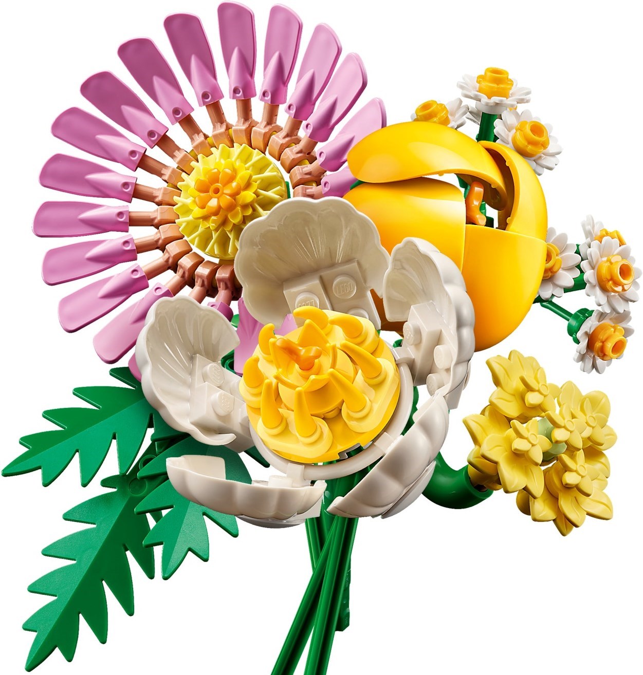 Close-up of individual flower elements