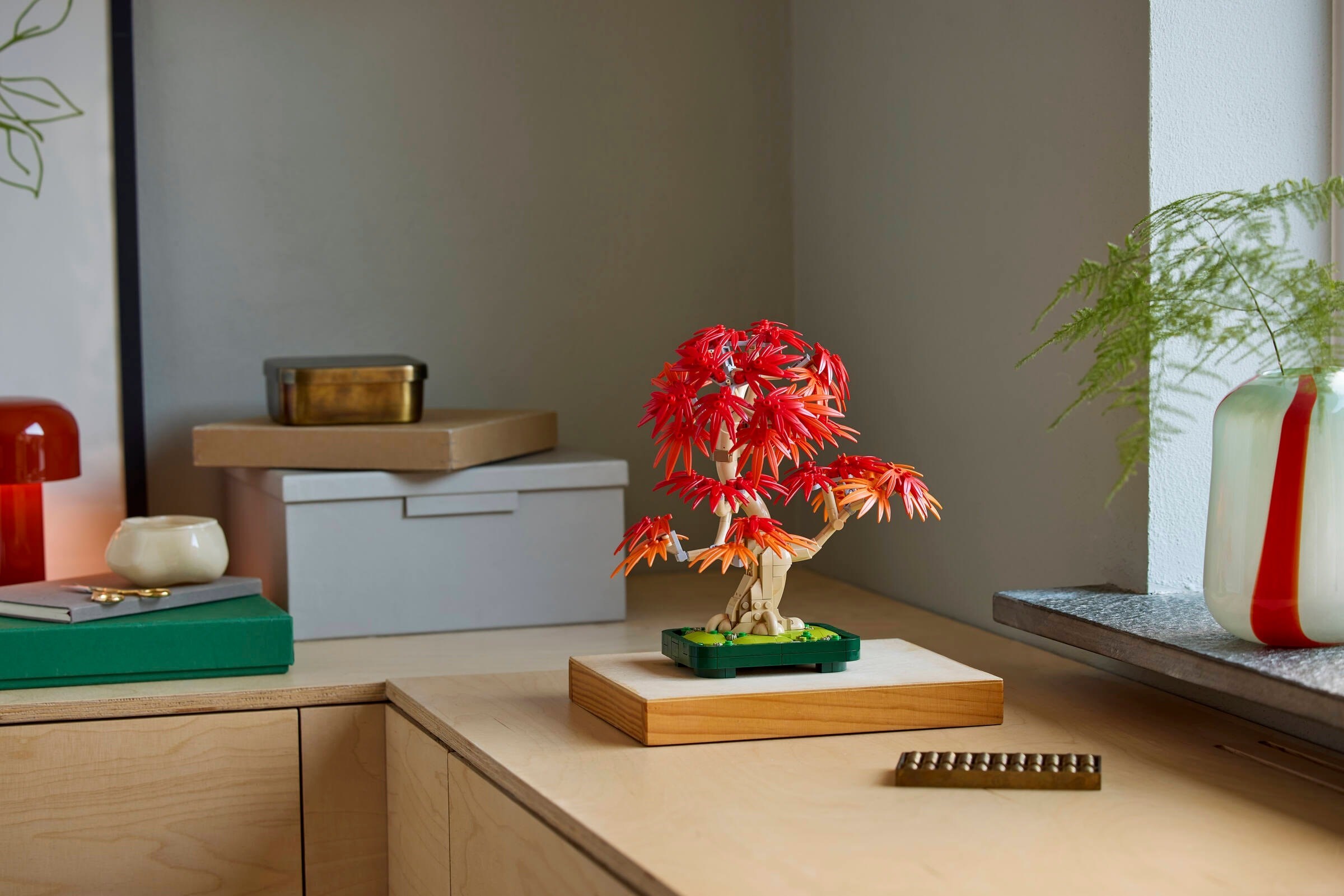 Bonsai displayed on modern desk setup