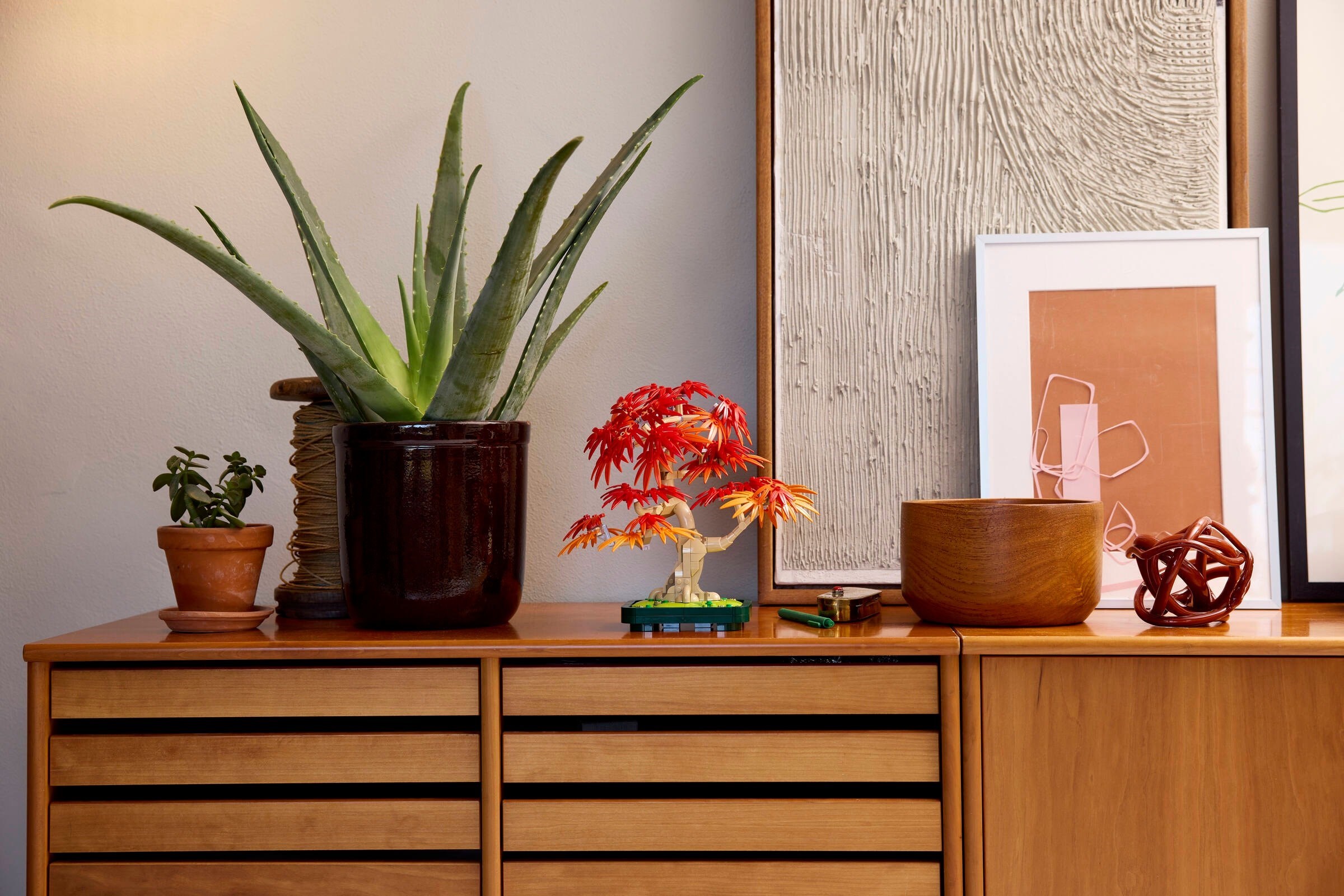 Bonsai displayed with other home decor