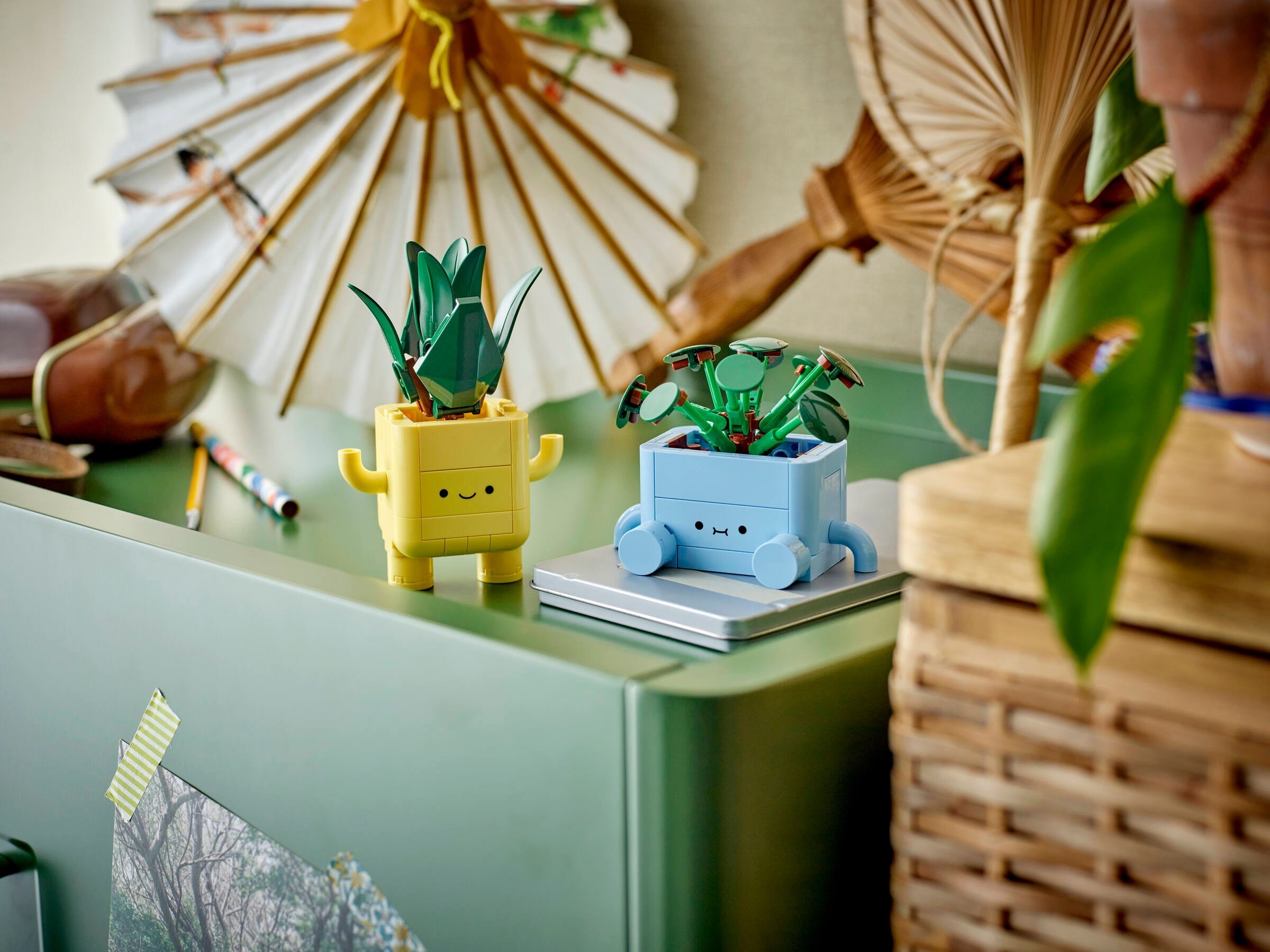 Plants displayed in room setting