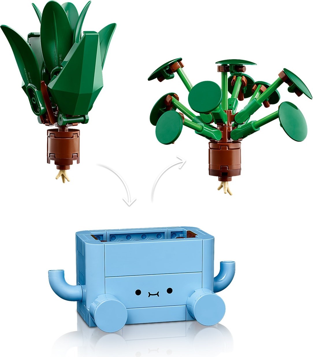 Detailed view of plant construction and roots
