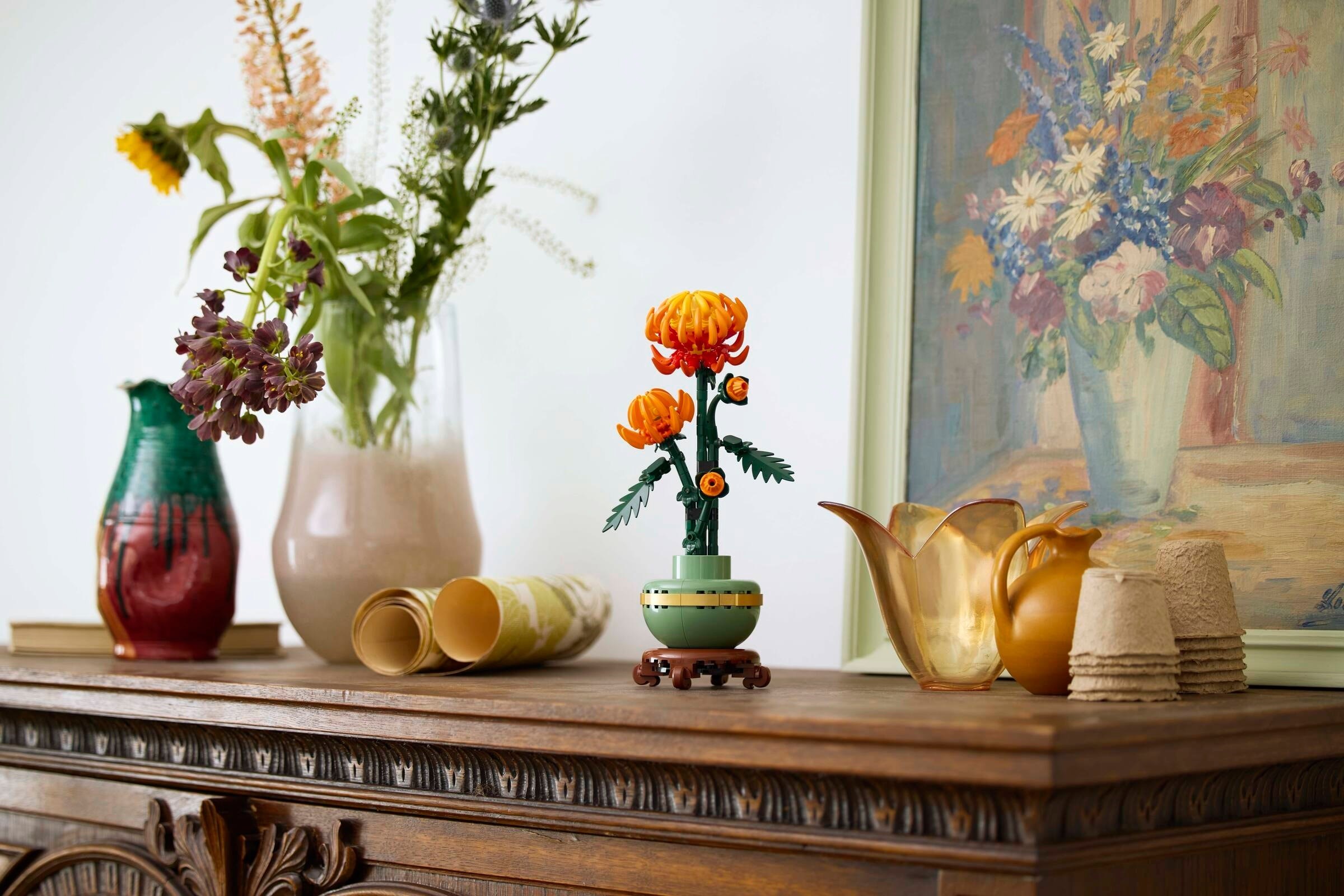 Chrysanthemum on display