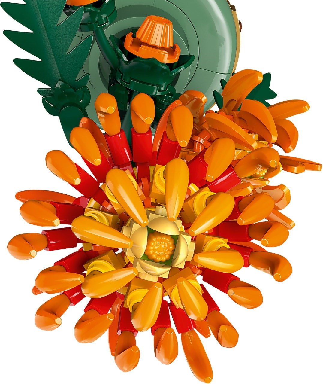 Chrysanthemum flower detail