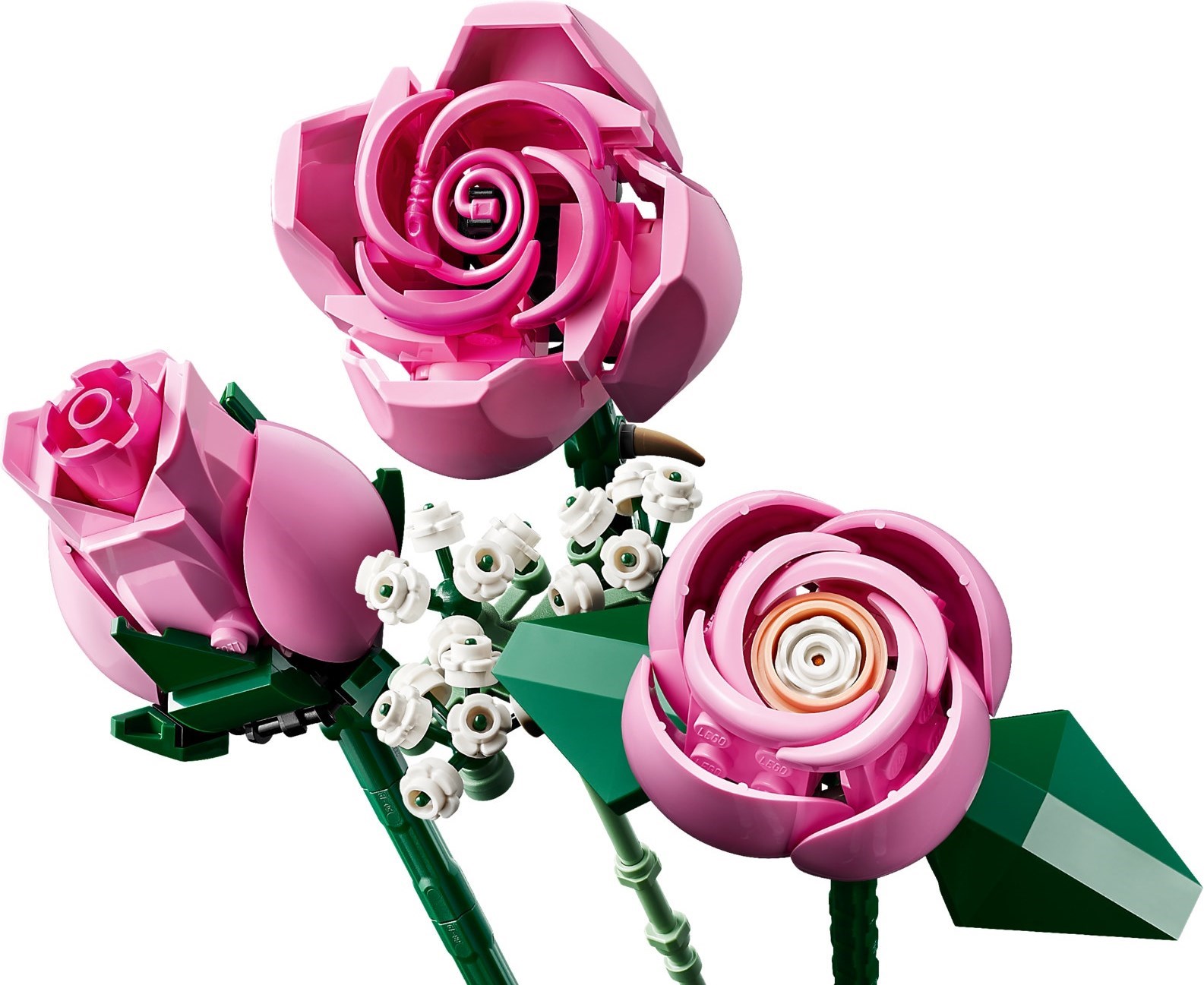 Individual roses and baby's breath detail view