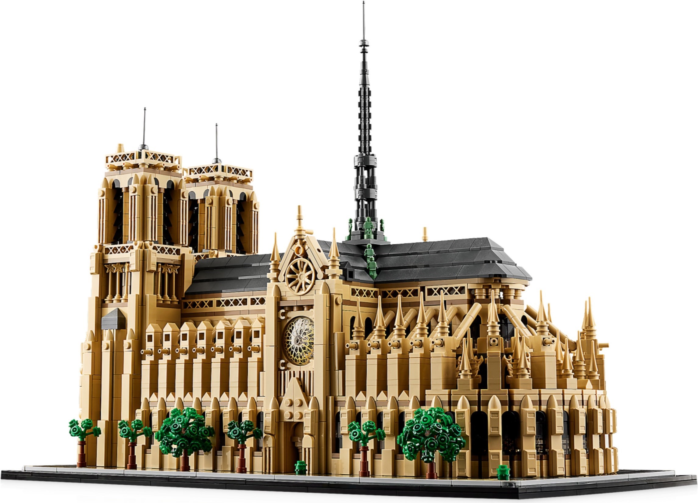 Complete model showing proportions