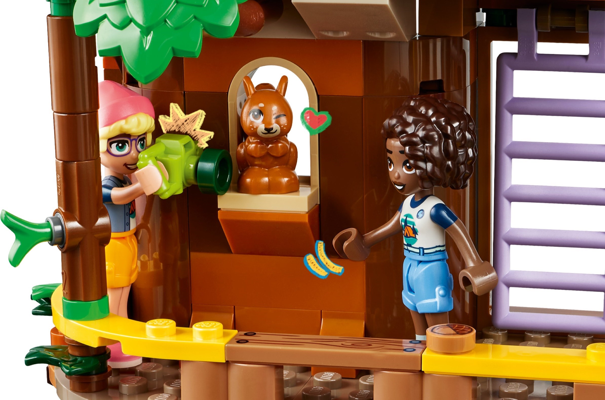 Squirrel and Water Activity