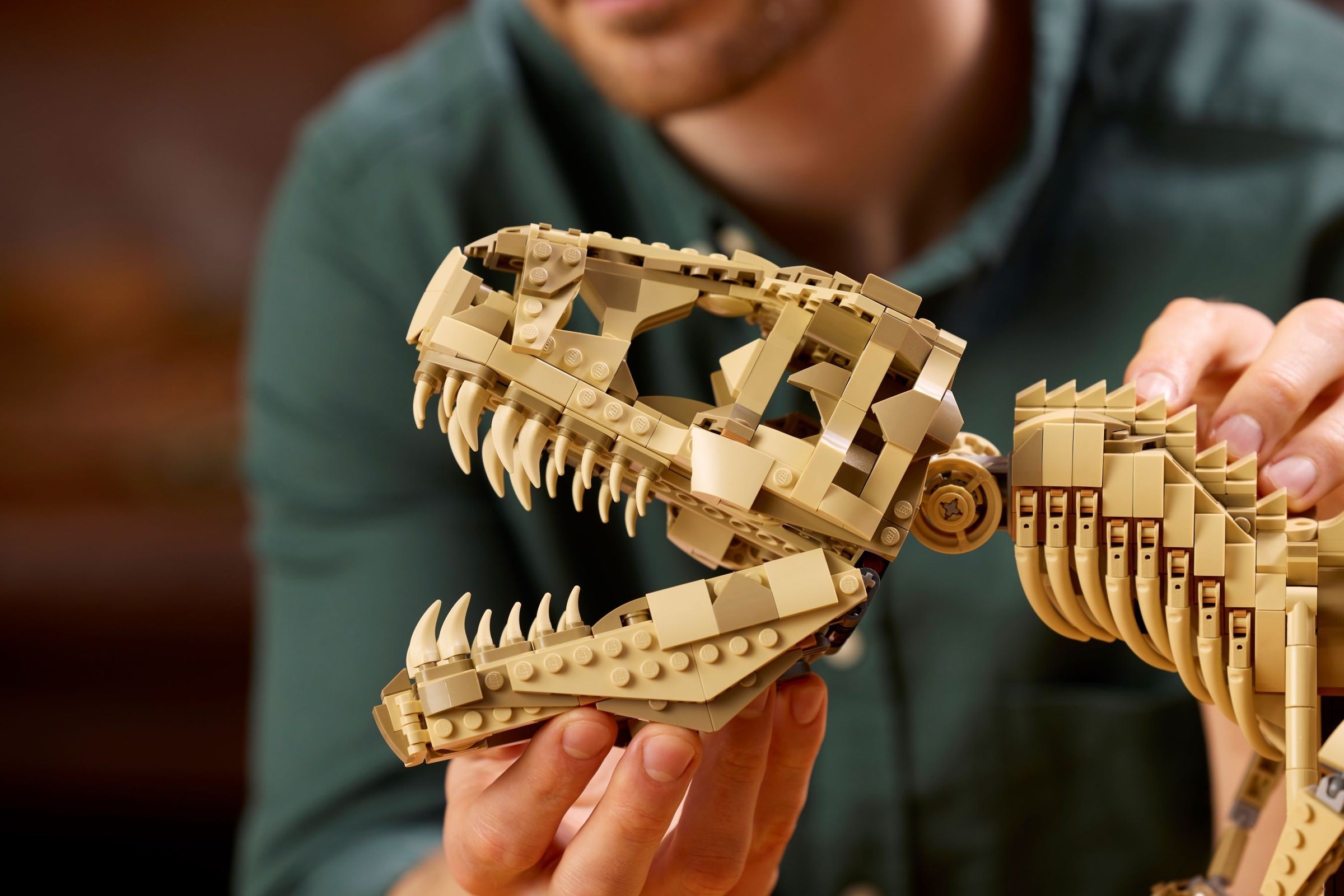 Building the skull detail