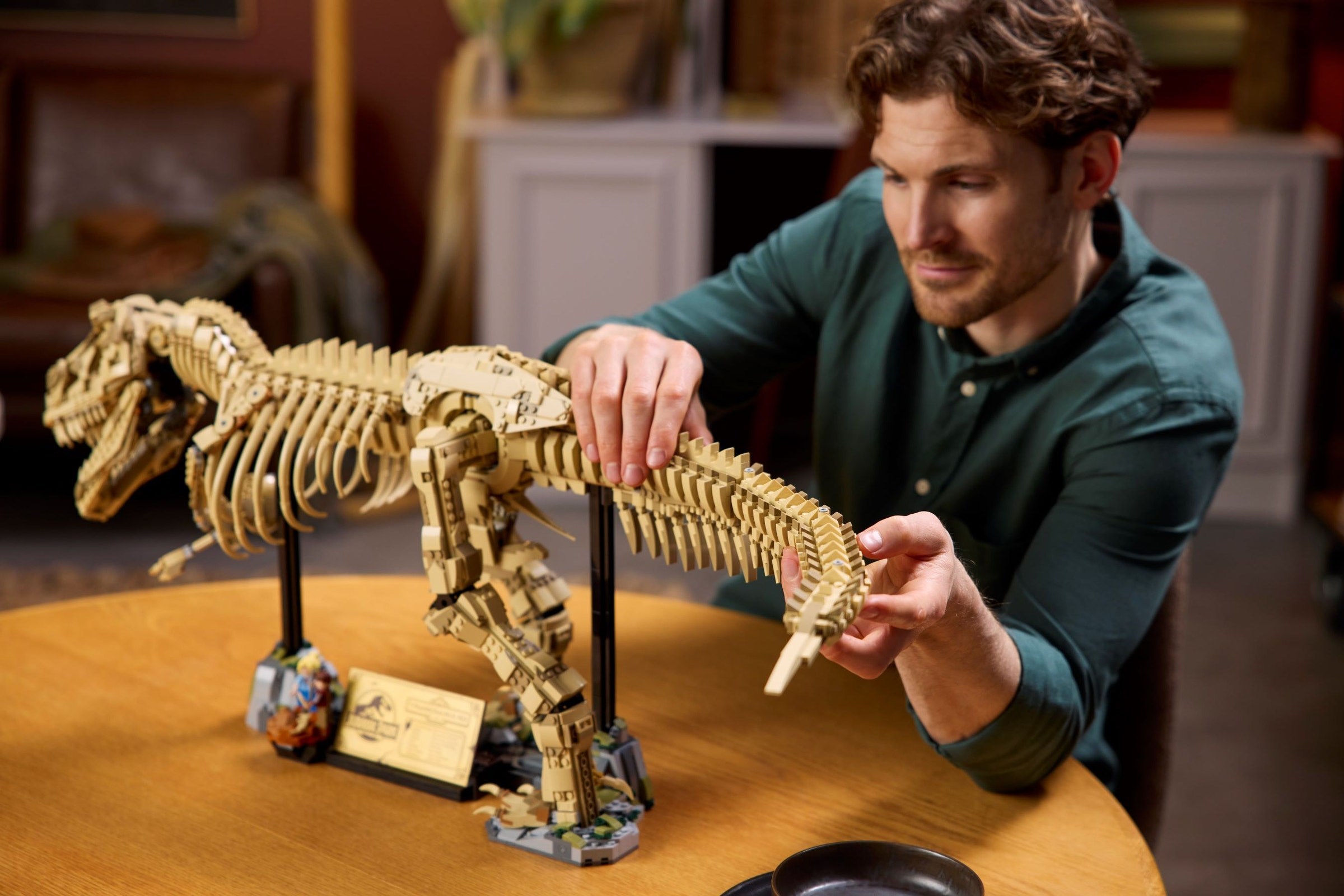 Adult assembling skeleton